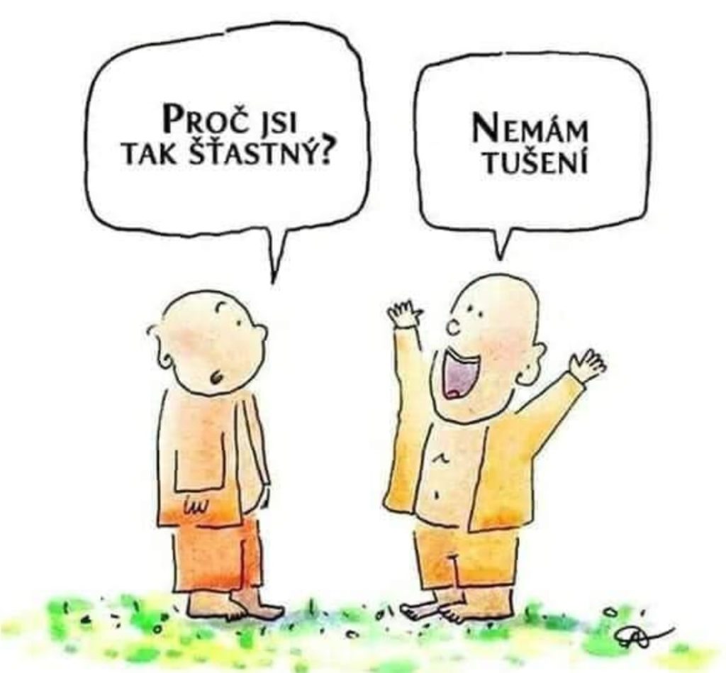 Emočné vzorce a emočná inteligencia